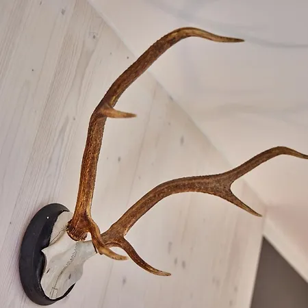 Alpinlife Chalet Apartmán